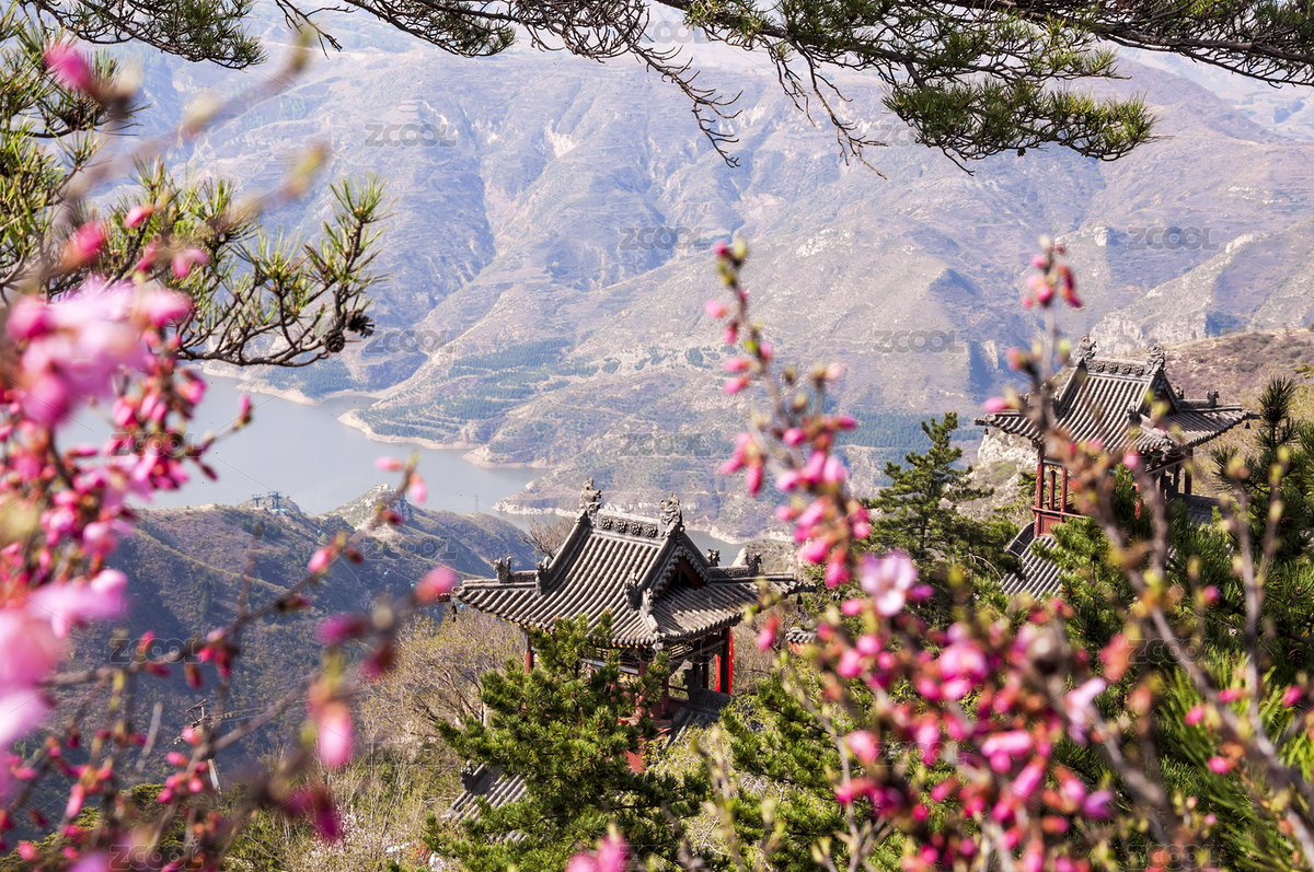中國(guó)山西北岳恒山花海中的寺廟亭樓屋頂風(fēng)光（主預(yù)覽-5464764） - 未分類(lèi) - 站酷設(shè)計(jì)師吾攝吾影原創(chuàng)素材 - 站酷ZCOOL