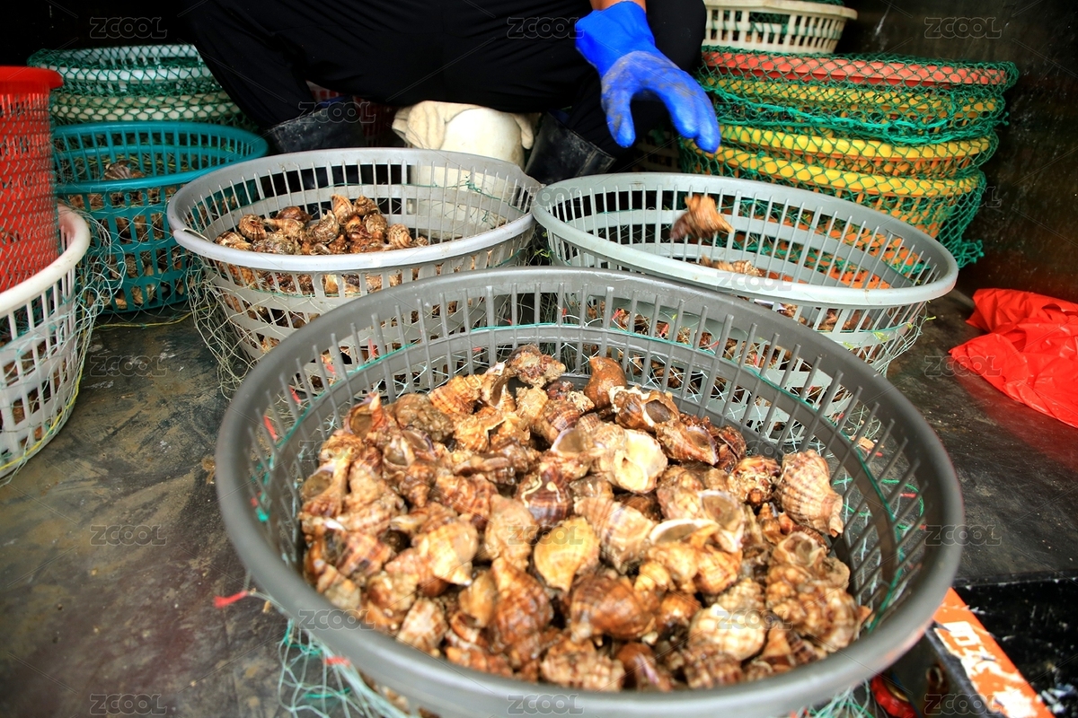 山东日照：游客涌至渔码头开抢海鲜（主预览-11981145） - 未分类 - 站酷设计师清风伴月原创素材 - 站酷ZCOOL