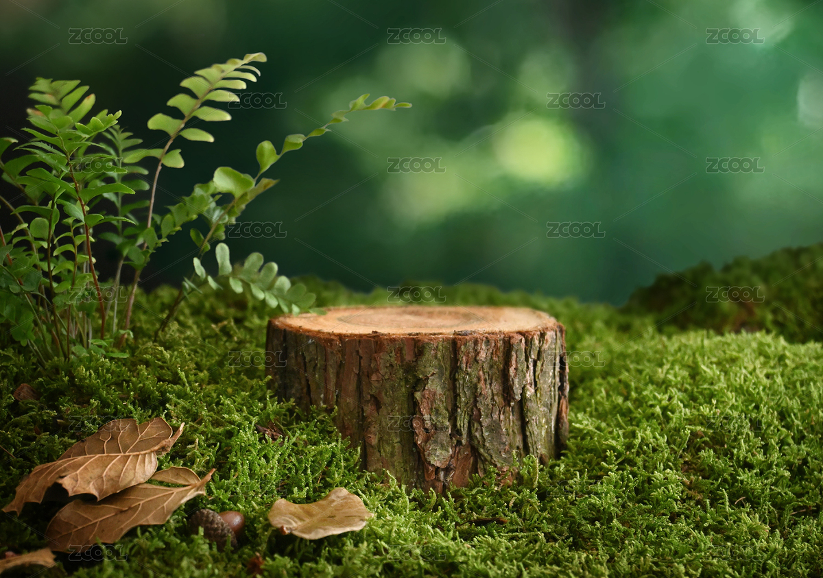 樹樁青苔綠色背景（主預覽-5976772） - 未分類 - 站酷設(shè)計師Gblei原創(chuàng)素材 - 站酷ZCOOL