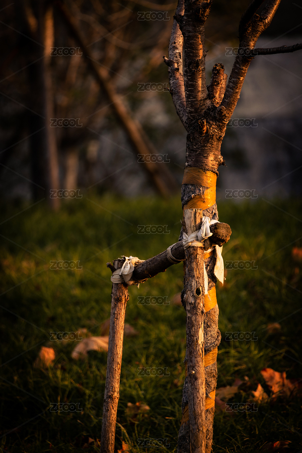 冬季傍晚的城市街道夕陽(yáng)下（主預(yù)覽-8280760） - 未分類 - 站酷設(shè)計(jì)師hyx64076原創(chuàng)素材 - 站酷ZCOOL