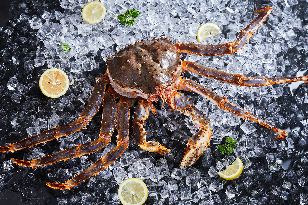 黑色背景冰塊上放著帝王蟹（主預(yù)覽-1516361） - 未分類 - 站酷設(shè)計(jì)師Extra奕達(dá)達(dá)原創(chuàng)素材 - 站酷ZCOOL