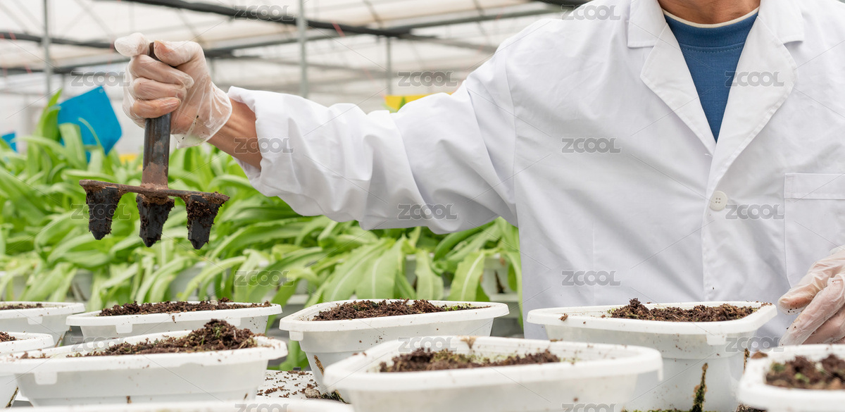 農(nóng)業(yè)科研人員觀察移栽小苗的根系（主預(yù)覽-9100535） - 未分類 - 站酷設(shè)計師allenchen214原創(chuàng)素材 - 站酷ZCOOL
