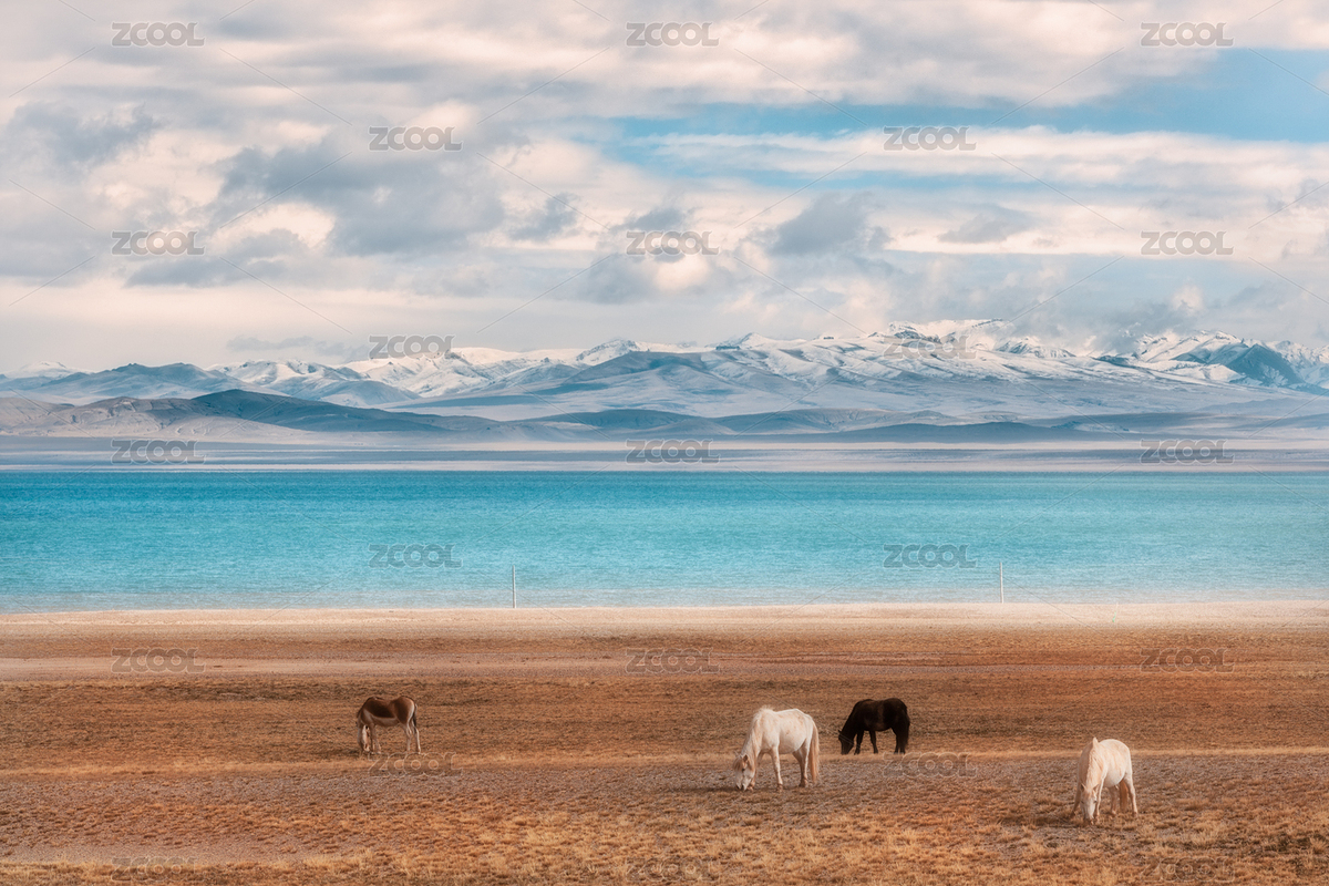 西藏（主预览-6565730） - 未分类 - 站酷设计师爱吃土豆的猫原创素材 - 站酷ZCOOL