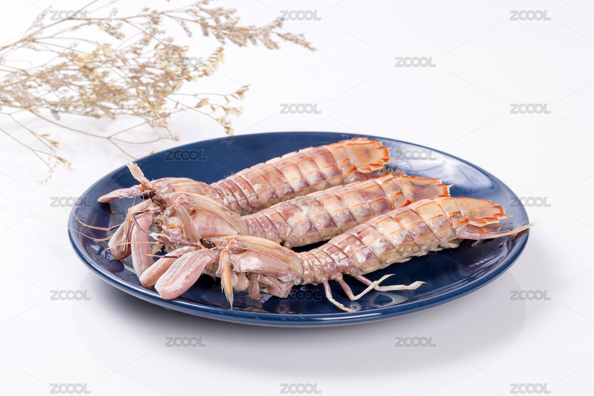 美味營養(yǎng)的皮皮蝦（主預(yù)覽-8096795） - 未分類 - 站酷設(shè)計師金翅大鵬原創(chuàng)素材 - 站酷ZCOOL