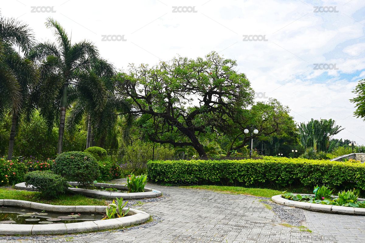 公園熱帶風(fēng)情園林景觀（主預(yù)覽-12283538） - 未分類(lèi) - 站酷設(shè)計(jì)師群之輝視覺(jué)原創(chuàng)素材 - 站酷ZCOOL