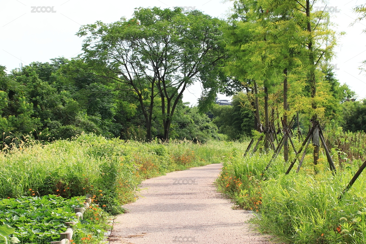 綠蔭小道（主預(yù)覽-8987203） - 未分類 - 站酷設(shè)計師羽魂龍原創(chuàng)素材 - 站酷ZCOOL