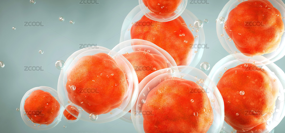 三維渲染人體細(xì)胞或胚胎干細(xì)胞顯微鏡背景（主預(yù)覽-4741350） - 未分類 - 站酷設(shè)計(jì)師郎中創(chuàng)建世界原創(chuàng)素材 - 站酷ZCOOL