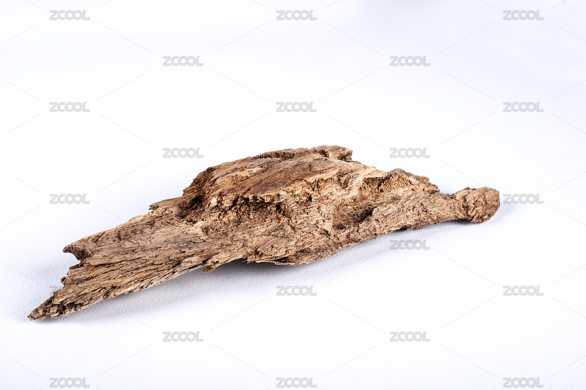 放在桌面上的枯樹(shù)根（主預(yù)覽-8805653） - 未分類(lèi) - 站酷設(shè)計(jì)師軒軒軒001原創(chuàng)素材 - 站酷ZCOOL