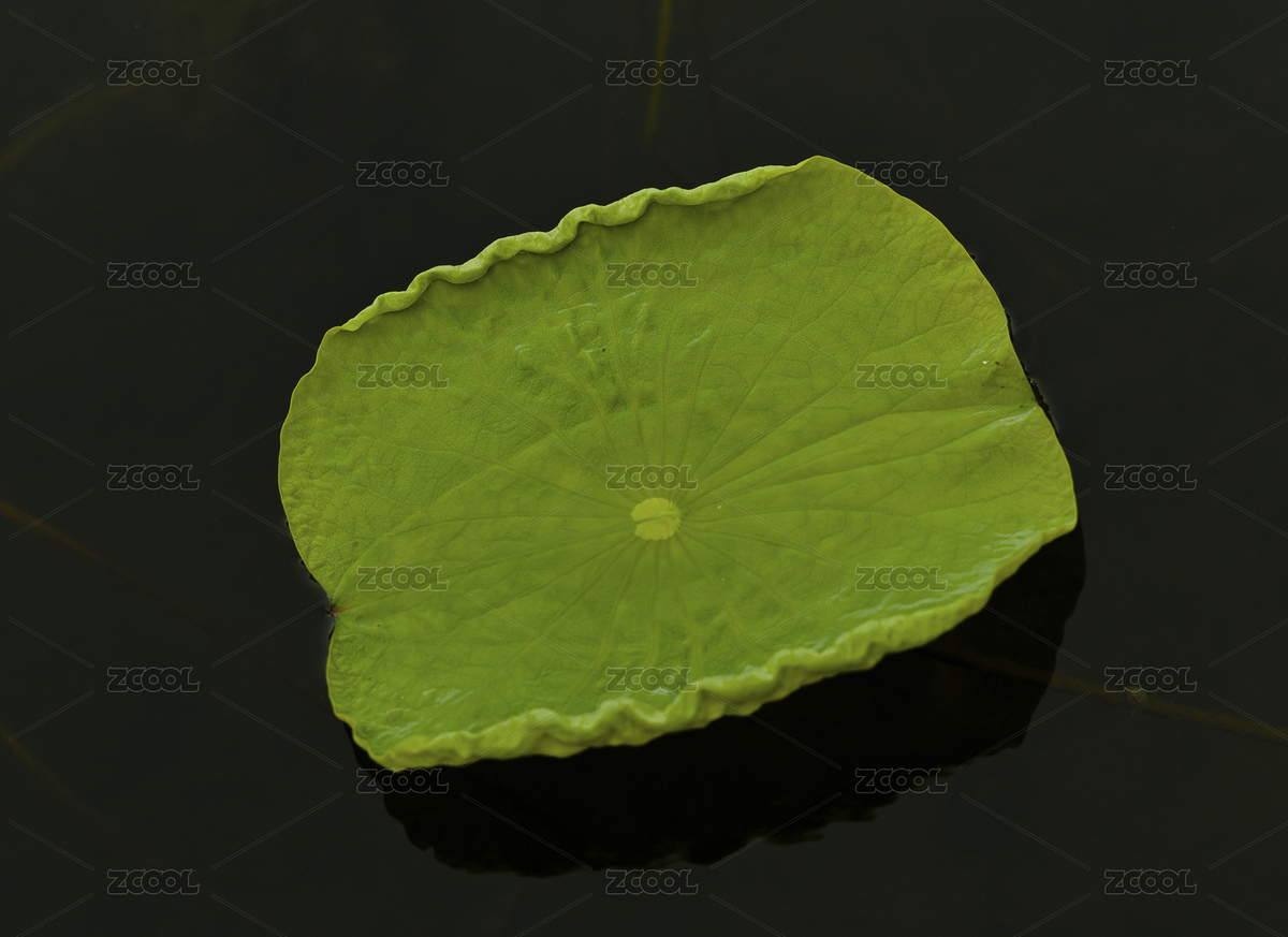 北京市，清華大學校園風光（主預覽-4605436） - 未分類 - 站酷設計師hbsjzyjh原創(chuàng)素材 - 站酷ZCOOL