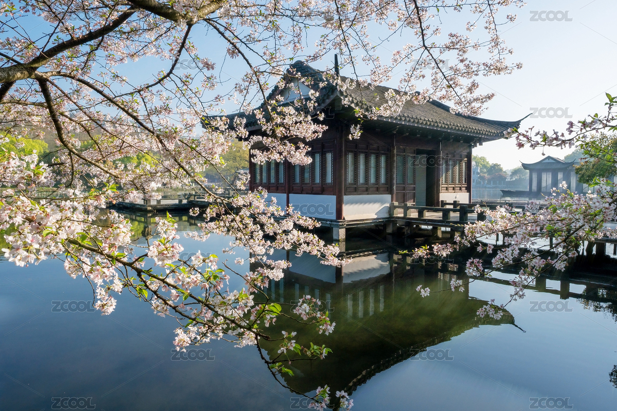 浙江省杭州西湖十景之一曲院風(fēng)荷春季風(fēng)光（主預(yù)覽-5152220） - 未分類 - 站酷設(shè)計(jì)師Z26302855原創(chuàng)素材 - 站酷ZCOOL