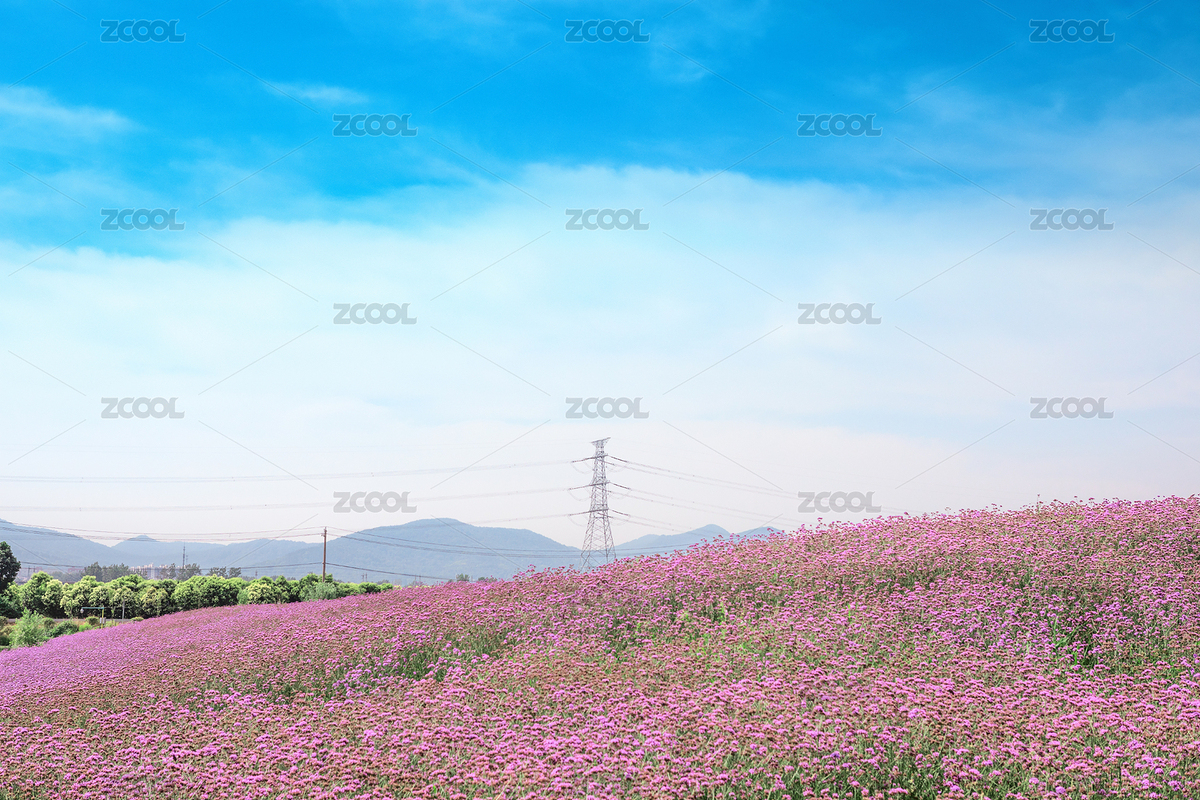 中國江蘇南京江浦滁河風(fēng)光帶（主預(yù)覽-7435053） - 未分類 - 站酷設(shè)計(jì)師青衿人原創(chuàng)素材 - 站酷ZCOOL