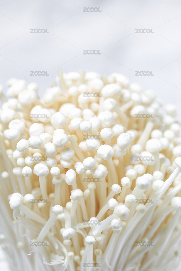 金針菇（主預(yù)覽-391696） - 未分類 - 站酷設(shè)計師luoluoivy原創(chuàng)素材 - 站酷ZCOOL