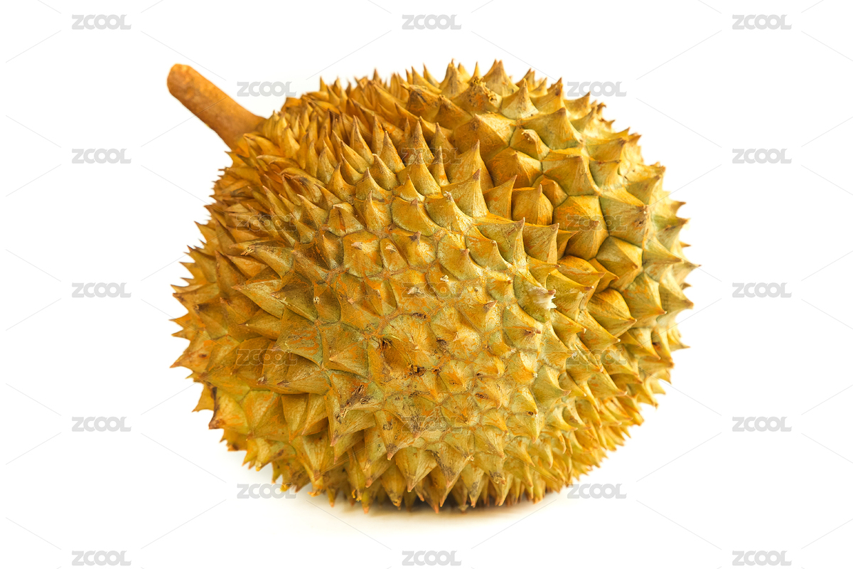 白底上放着一个完整的进口榴莲（主预览-7527283） - 未分类 - 站酷设计师PAOPAO摄影工作室原创素材 - 站酷ZCOOL