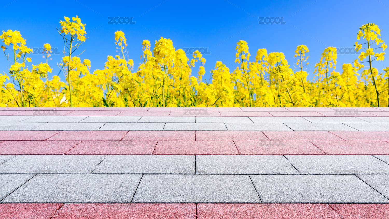 空的平台平面和自然景观