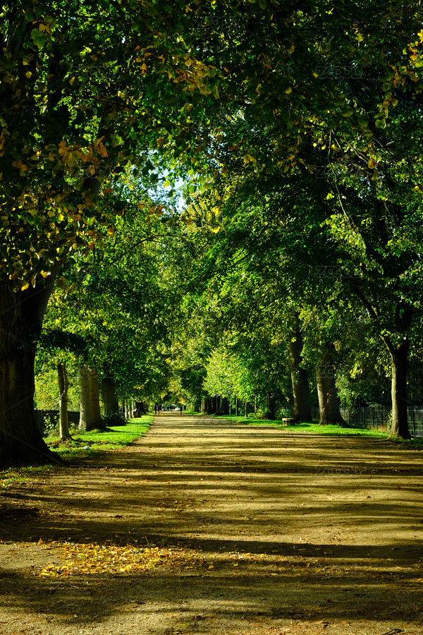 美麗的牛津大學校內林蔭道（主預覽-12124869） - 未分類 - 站酷設計師呆諾熊原創(chuàng)素材 - 站酷ZCOOL