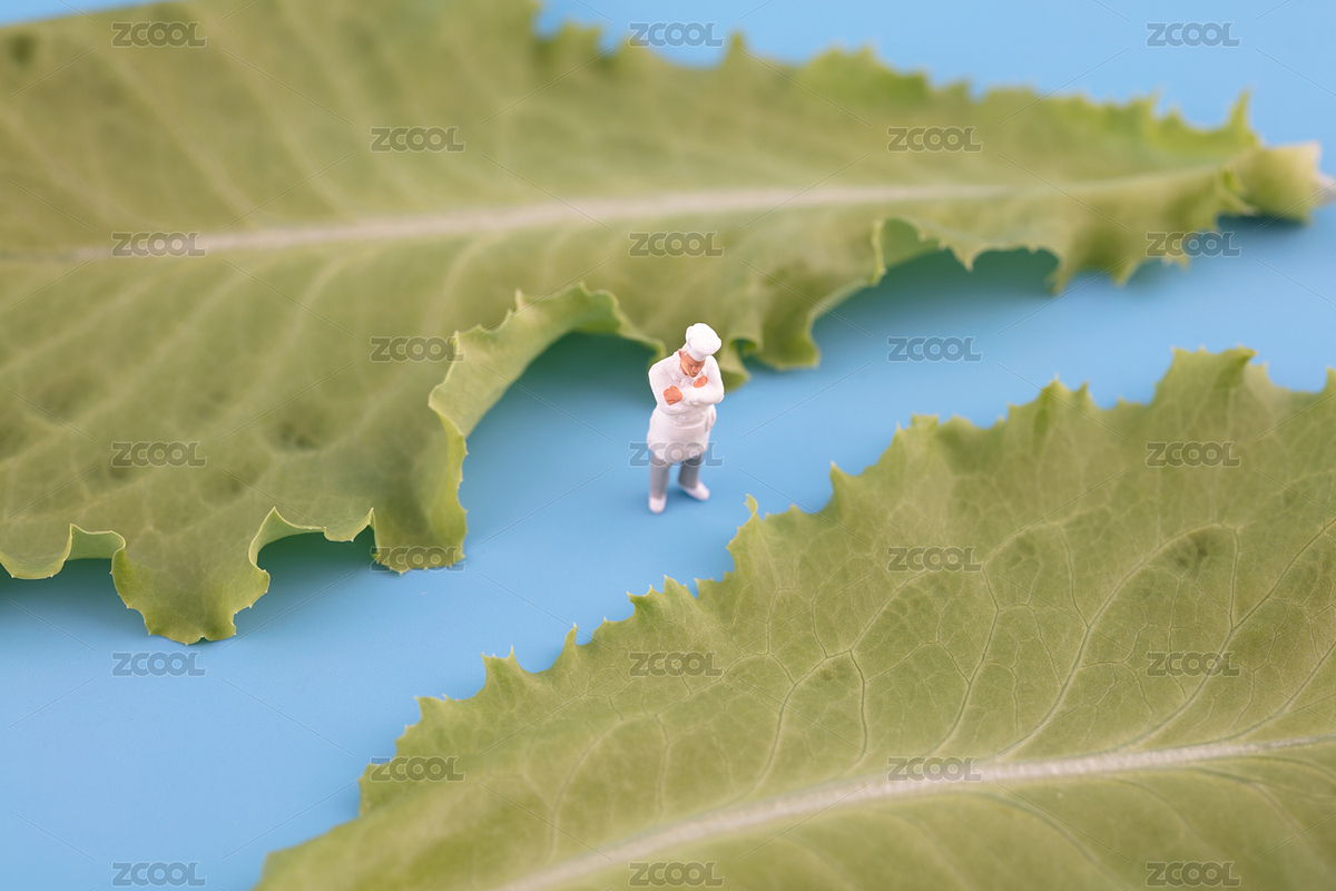 微縮創(chuàng)意大廚面對(duì)青菜葉（主預(yù)覽-1865431） - 未分類 - 站酷設(shè)計(jì)師小羽怪原創(chuàng)素材 - 站酷ZCOOL