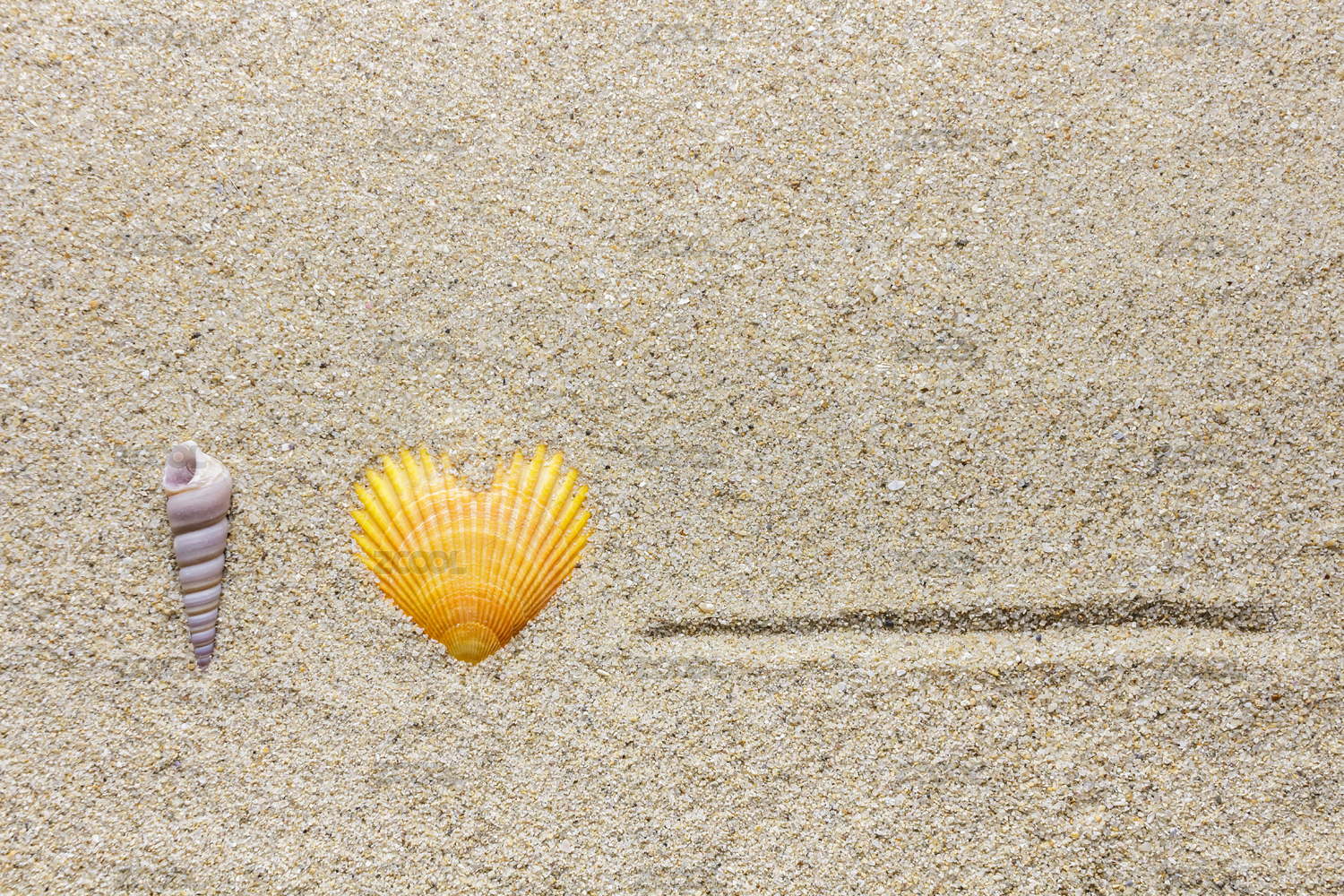 The words "I love" made with conch and shells.leaving a space for you to fill in.