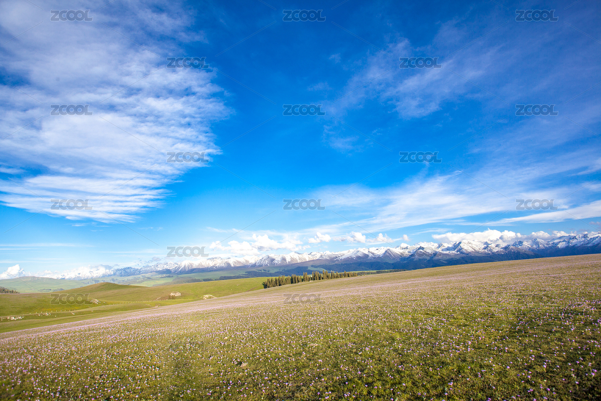 喀拉峻草原（主預(yù)覽-6783286） - 未分類(lèi) - 站酷設(shè)計(jì)師bao1226原創(chuàng)素材 - 站酷ZCOOL