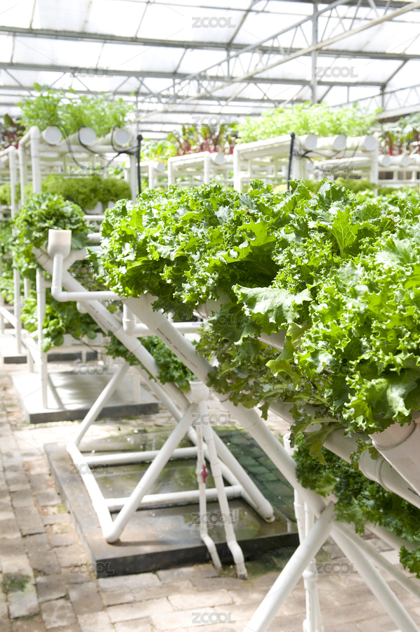 現(xiàn)代化農(nóng)業(yè)蔬菜大棚（主預(yù)覽-6182681） - 未分類 - 站酷設(shè)計(jì)師馬濱海原創(chuàng)素材 - 站酷ZCOOL