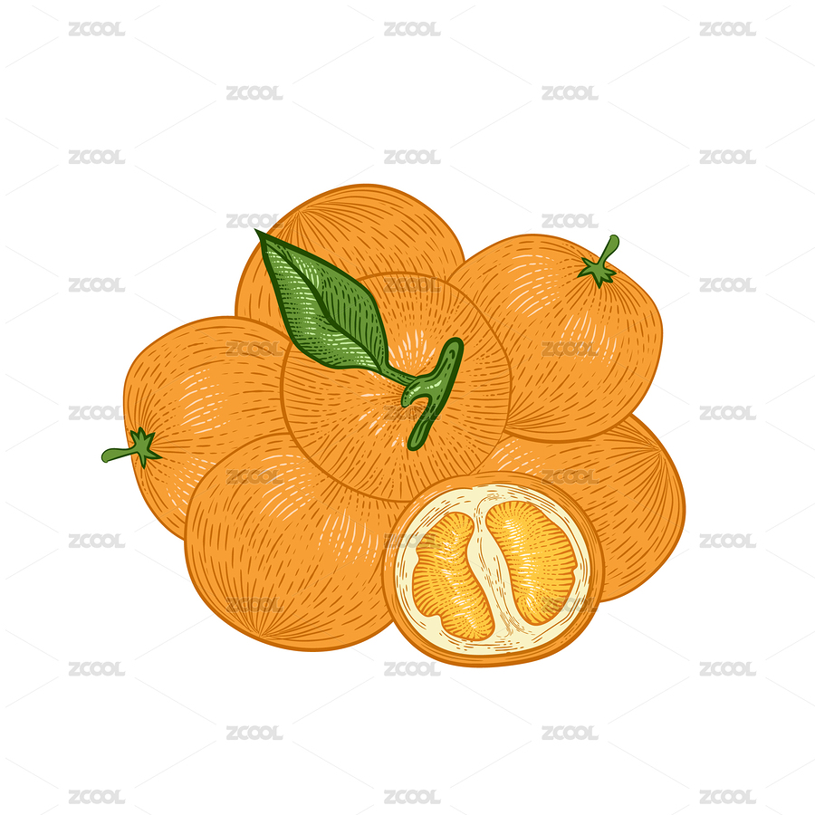 江蘇蜜橘版畫風(fēng)插畫（主預(yù)覽-4991809） - 未分類 - 站酷設(shè)計(jì)師瑟琳娜Selina原創(chuàng)素材 - 站酷ZCOOL