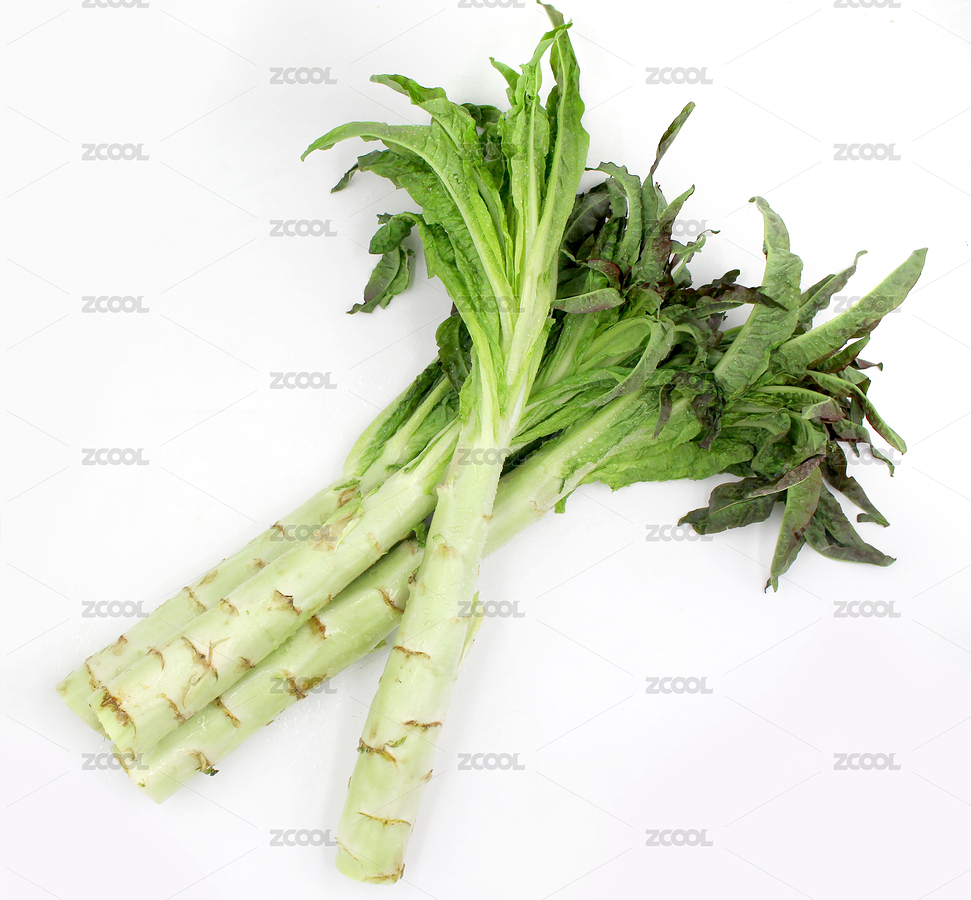白底的新鮮萵筍（主預覽-1031410） - 未分類 - 站酷設計師luevan22原創(chuàng)素材 - 站酷ZCOOL