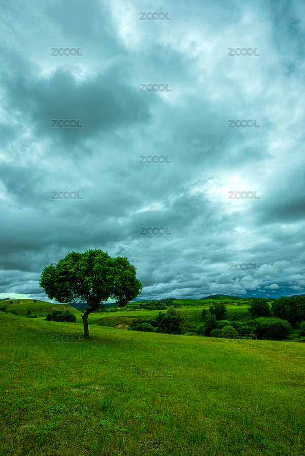中国内蒙古赤峰坝上雨后草原（主预览-6479110） - 未分类 - 站酷设计师都文明原创素材 - 站酷ZCOOL