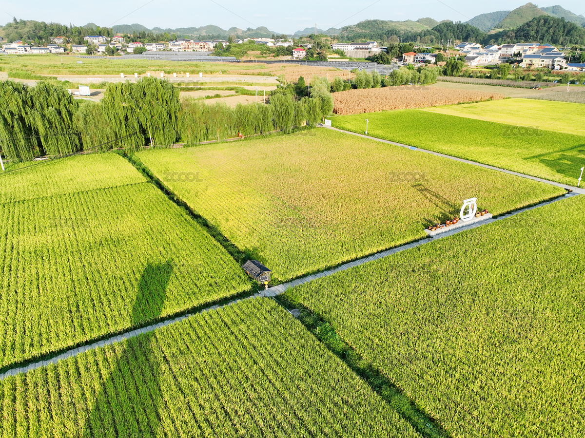 贵州省遵义市播州区枫香镇花茂村田园风（主预览-11981360） - 未分类 - 站酷设计师好茶娄山春原创素材 - 站酷ZCOOL