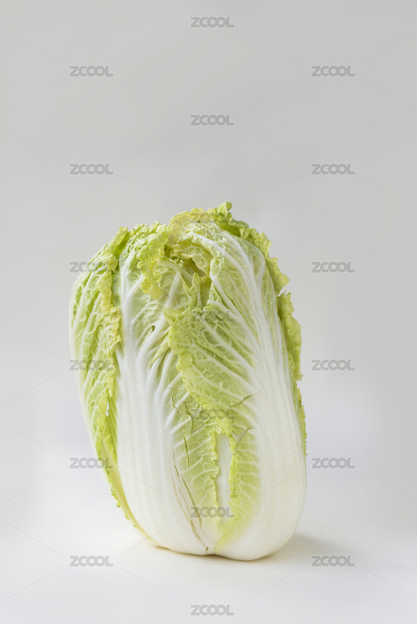 娃娃菜（主預(yù)覽-3474339） - 未分類 - 站酷設(shè)計(jì)師hqrloveq原創(chuàng)素材 - 站酷ZCOOL