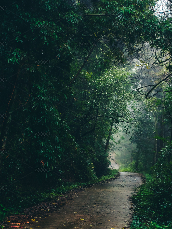 鄉(xiāng)間幽靜的小路（主預(yù)覽-3270038） - 未分類 - 站酷設(shè)計(jì)師門后面是什么原創(chuàng)素材 - 站酷ZCOOL