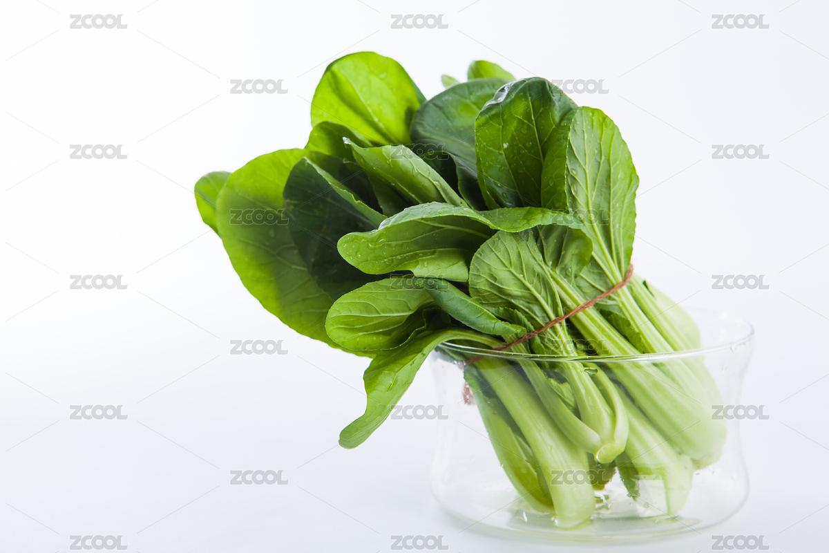 油菜（主預覽-9111250） - 未分類 - 站酷設(shè)計師東東東東東東東東原創(chuàng)素材 - 站酷ZCOOL