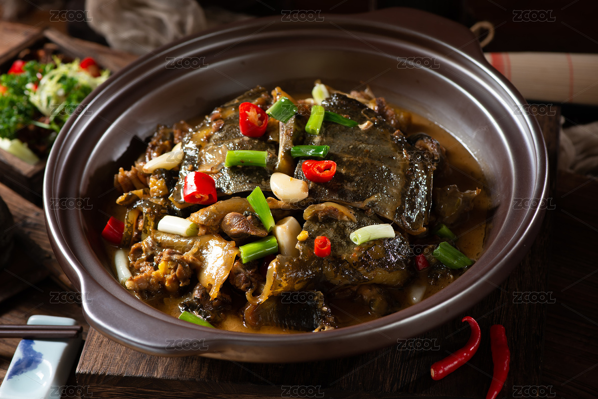 野生甲魚（主預(yù)覽-4581349） - 未分類 - 站酷設(shè)計(jì)師酷不酷吧原創(chuàng)素材 - 站酷ZCOOL