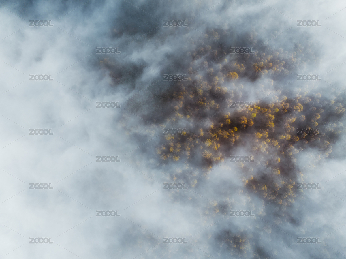 大兴安岭根白线莫尔道嘎林区秋季风光（主预览-3188699） - 未分类 - 站酷设计师摄影师VT原创素材 - 站酷ZCOOL