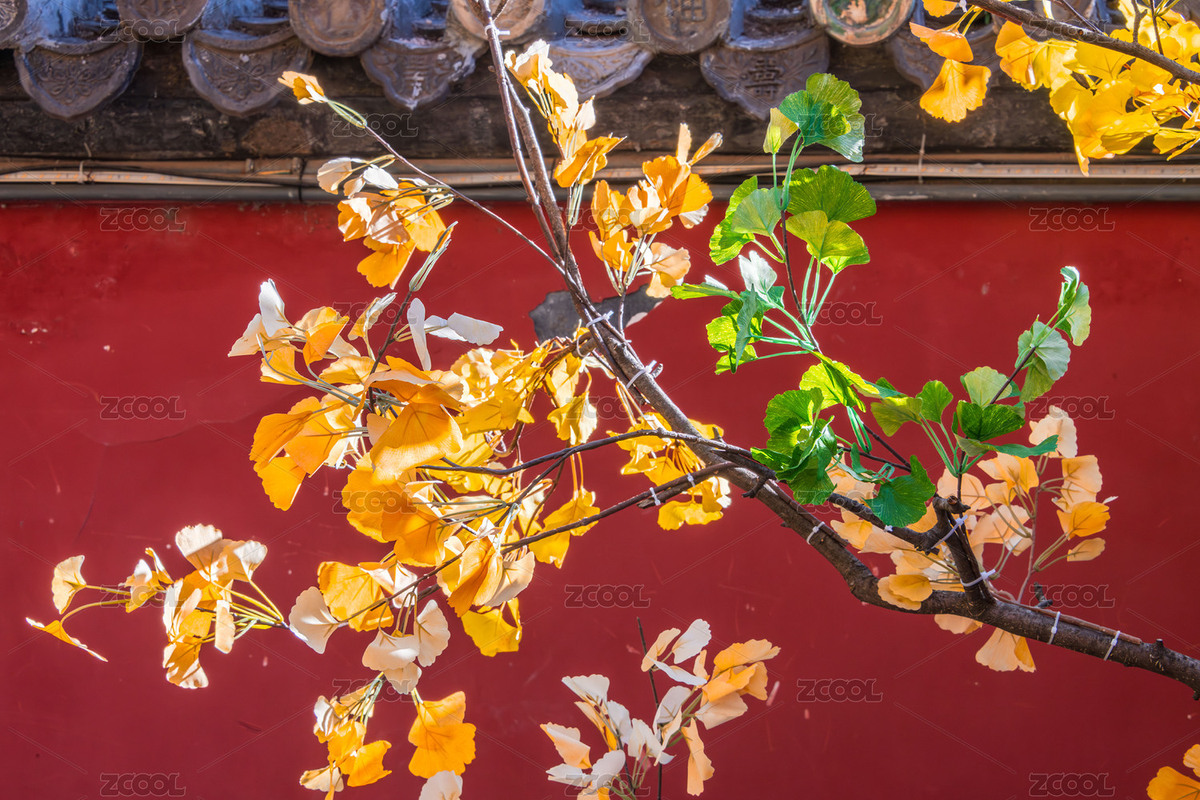 中國北京潭柘寺秋季風(fēng)光（主預(yù)覽-12381326） - 未分類 - 站酷設(shè)計(jì)師陳喆風(fēng)光攝影原創(chuàng)素材 - 站酷ZCOOL