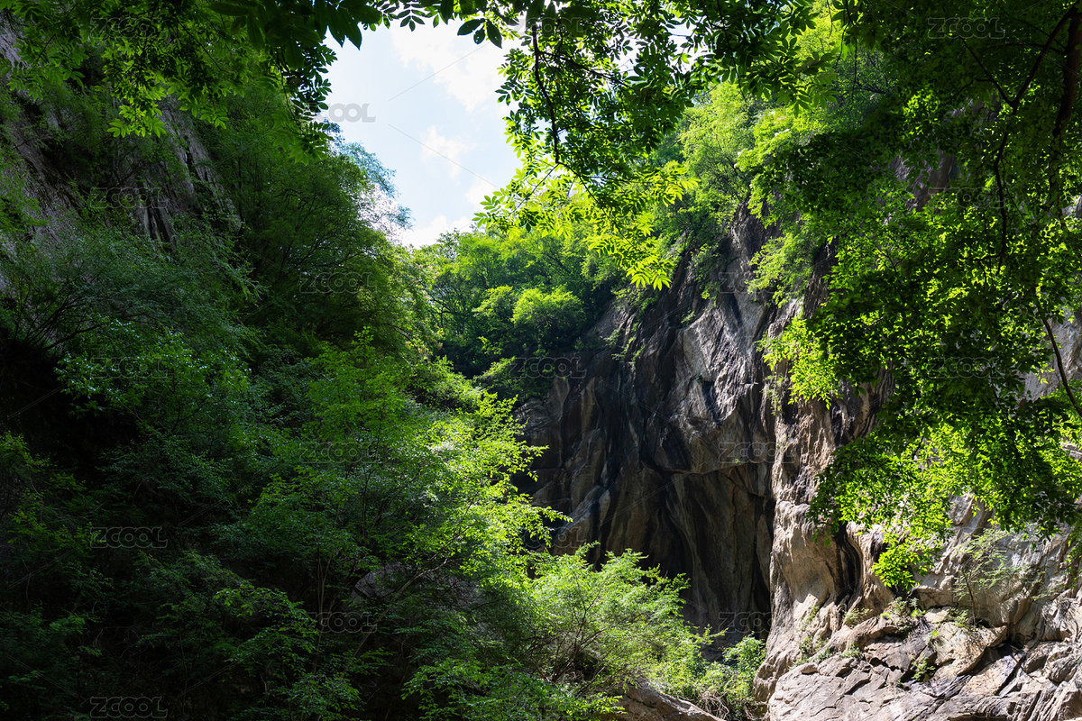 森林山洞口陽光透過的綠色樹林（主預(yù)覽-1874352） - 未分類 - 站酷設(shè)計(jì)師pseudo_djq原創(chuàng)素材 - 站酷ZCOOL