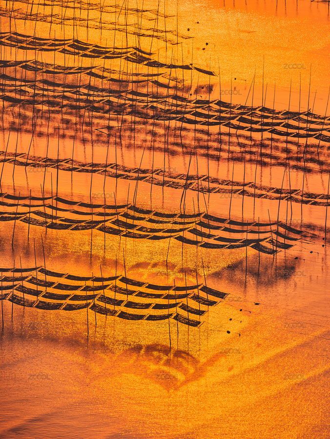 中國福建霞浦花竹村日出時(shí)的金色灘涂（主預(yù)覽-9246919） - 未分類 - 站酷設(shè)計(jì)師El4sTcZZcD原創(chuàng)素材 - 站酷ZCOOL