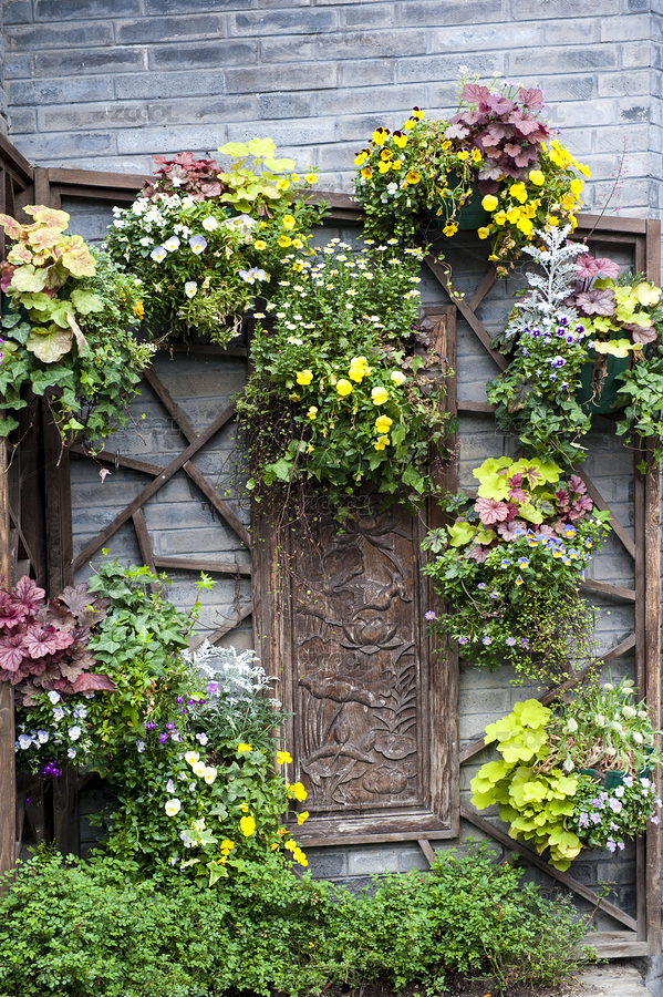 中國(guó)四川成都寬窄巷子植物裝飾墻（主預(yù)覽-8726145） - 未分類 - 站酷設(shè)計(jì)師zhaoliang70原創(chuàng)素材 - 站酷ZCOOL