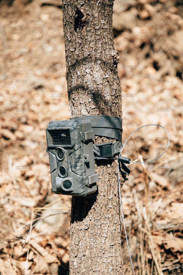 戶外大森林中的野生動物攝像機（主預覽-9608841） - 未分類 - 站酷設計師calvin99原創(chuàng)素材 - 站酷ZCOOL