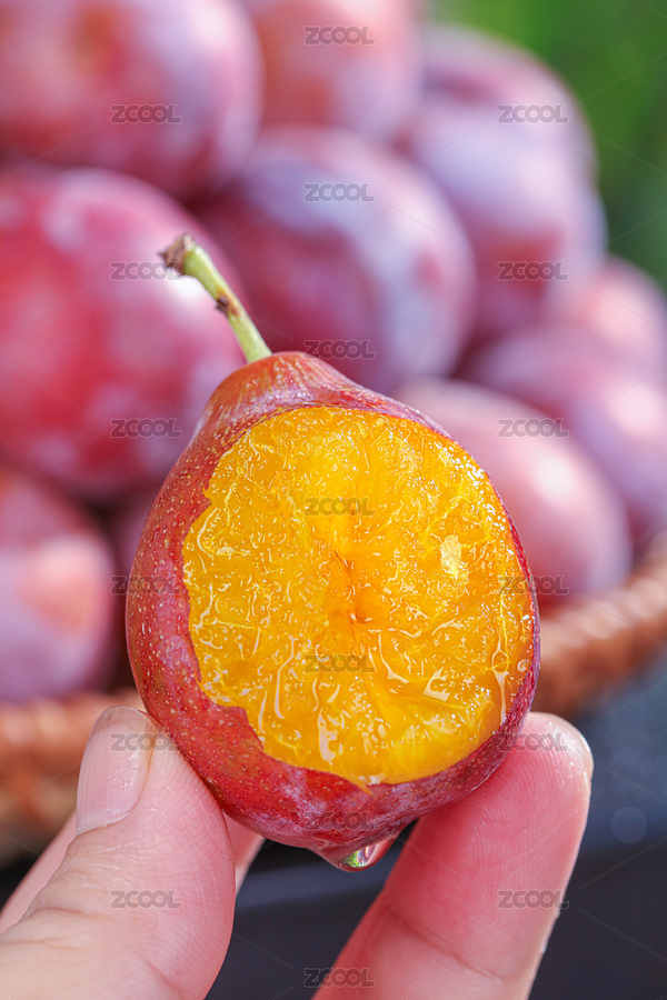 西梅（主預覽-11598081） - 未分類 - 站酷設計師btpic原創(chuàng)素材 - 站酷ZCOOL