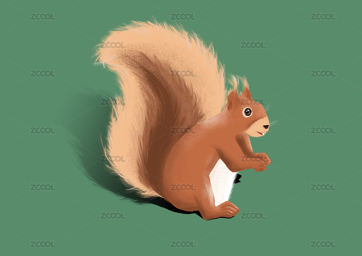 小松鼠插畫（主預覽-1603328） - 未分類 - 站酷設計師7xG0g15nwe原創(chuàng)素材 - 站酷ZCOOL