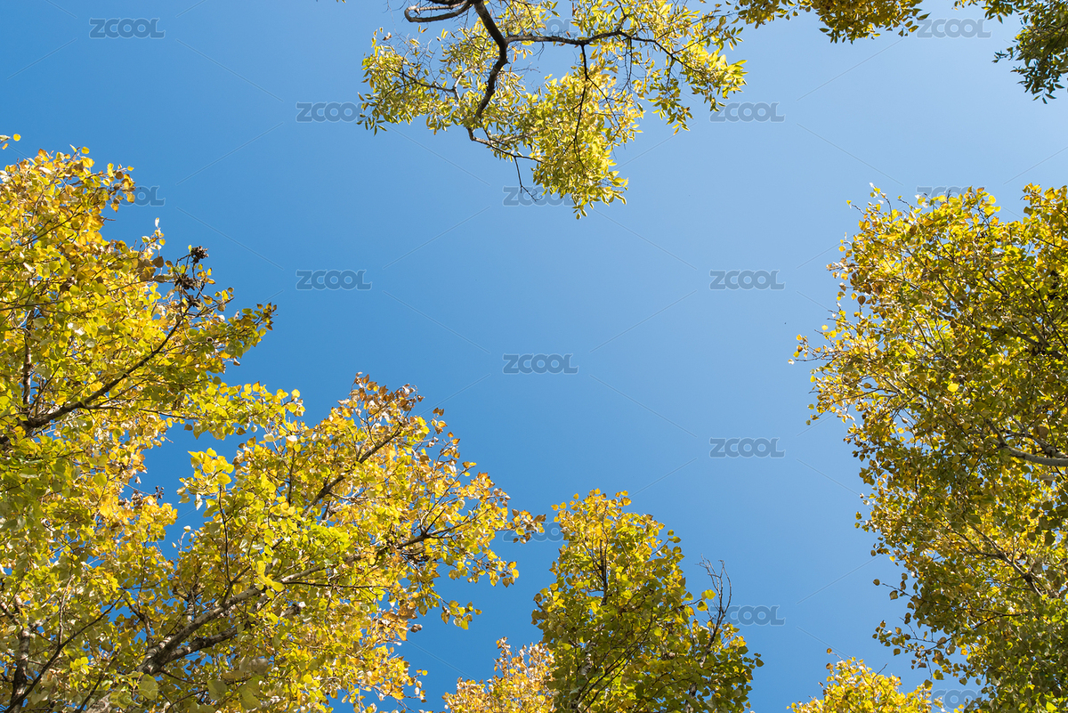 秋天（主預(yù)覽-7406947） - 未分類 - 站酷設(shè)計師kongxiangmin原創(chuàng)素材 - 站酷ZCOOL