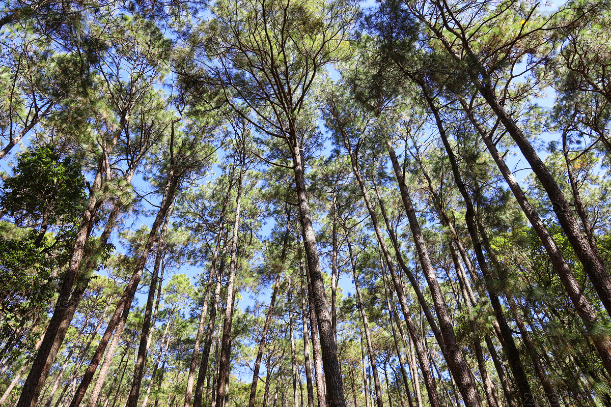 全國重點(diǎn)文保，松山戰(zhàn)役舊址（主預(yù)覽-2484003） - 未分類 - 站酷設(shè)計(jì)師lapaixdumonde原創(chuàng)素材 - 站酷ZCOOL