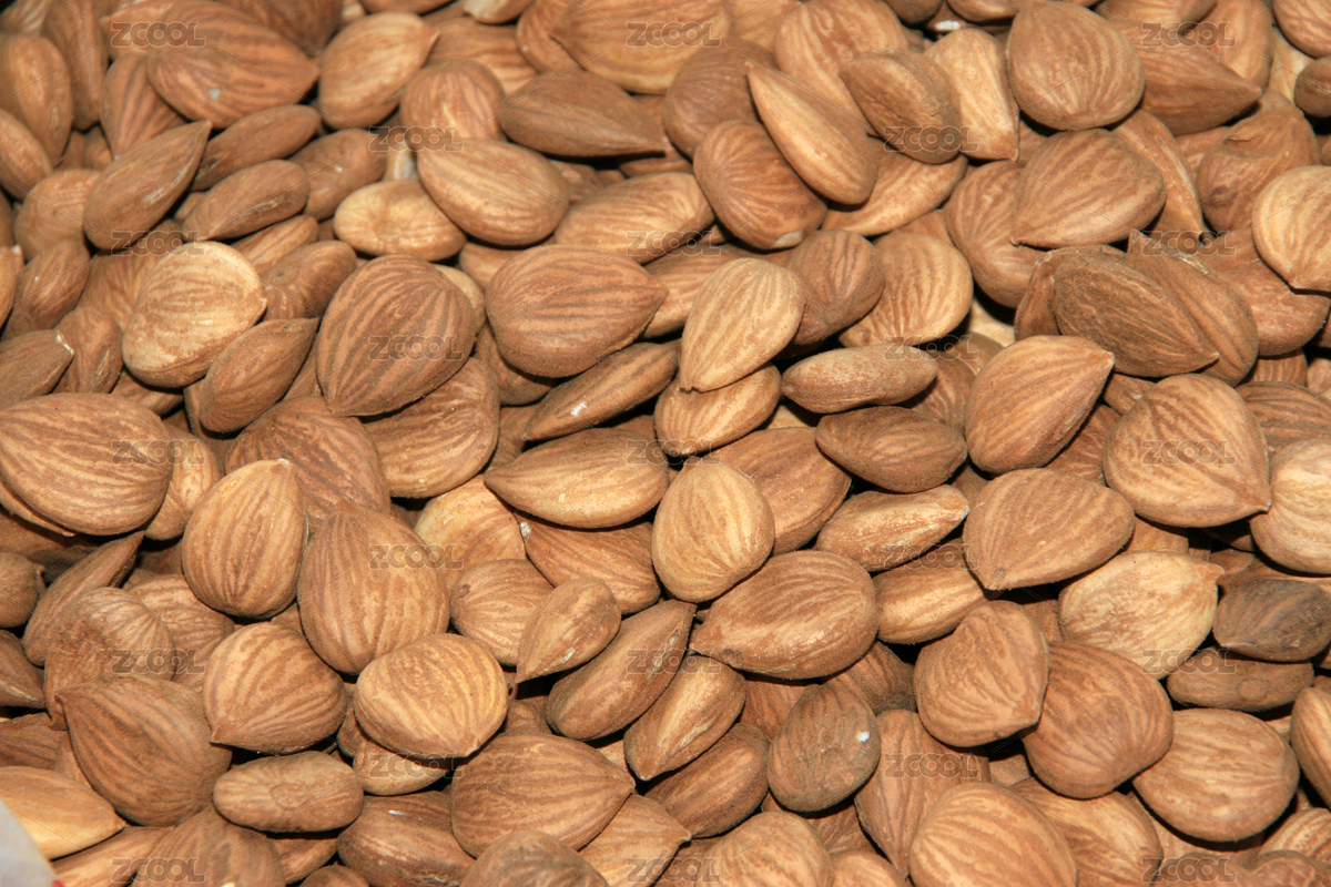 成堆的杏仁（主預(yù)覽-3999243） - 未分類 - 站酷設(shè)計師lnzyx原創(chuàng)素材 - 站酷ZCOOL