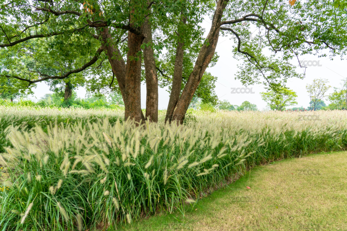 中國浙江省杭州余杭區(qū)良渚國家遺址公園風(fēng)光（主預(yù)覽-6204660） - 未分類 - 站酷設(shè)計師Z26302855原創(chuàng)素材 - 站酷ZCOOL
