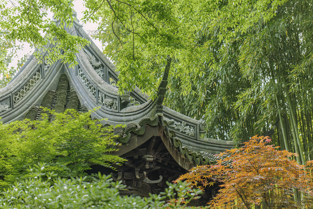 绿荫里的青浦曲水园建筑一角（主预览-6358993） - 未分类 - 站酷设计师伊留西斯原创素材 - 站酷ZCOOL