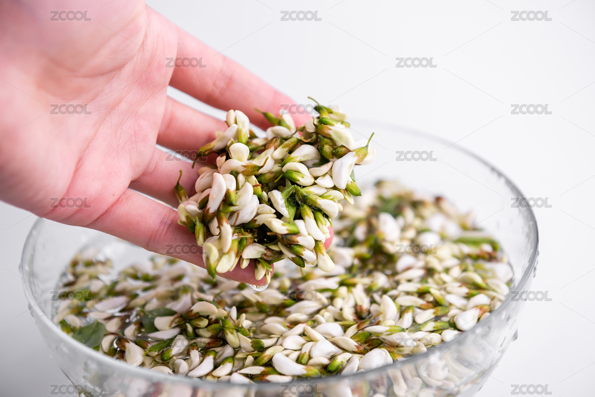 洗干凈槐花（主預(yù)覽-8980979） - 未分類 - 站酷設(shè)計師ddukang原創(chuàng)素材 - 站酷ZCOOL