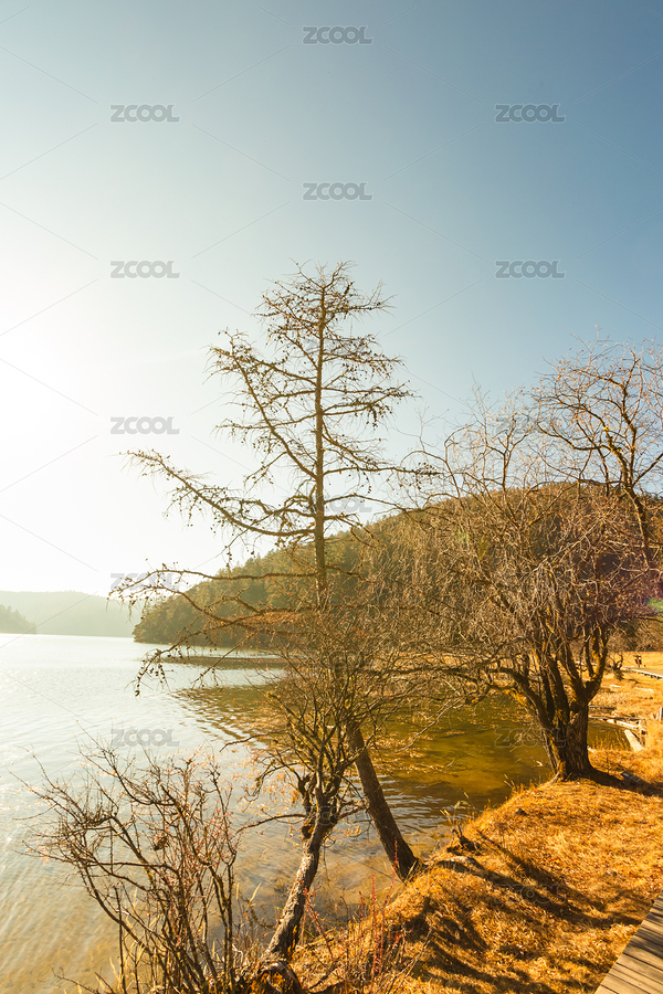 林間湖畔木棧道（主預(yù)覽-10687536） - 未分類 - 站酷設(shè)計師白子梁原創(chuàng)素材 - 站酷ZCOOL