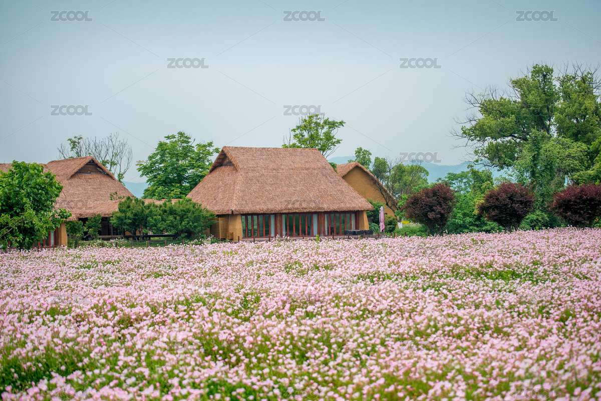 良渚國家遺址公園風光（主預(yù)覽-7474884） - 未分類 - 站酷設(shè)計師婁影入池塘原創(chuàng)素材 - 站酷ZCOOL