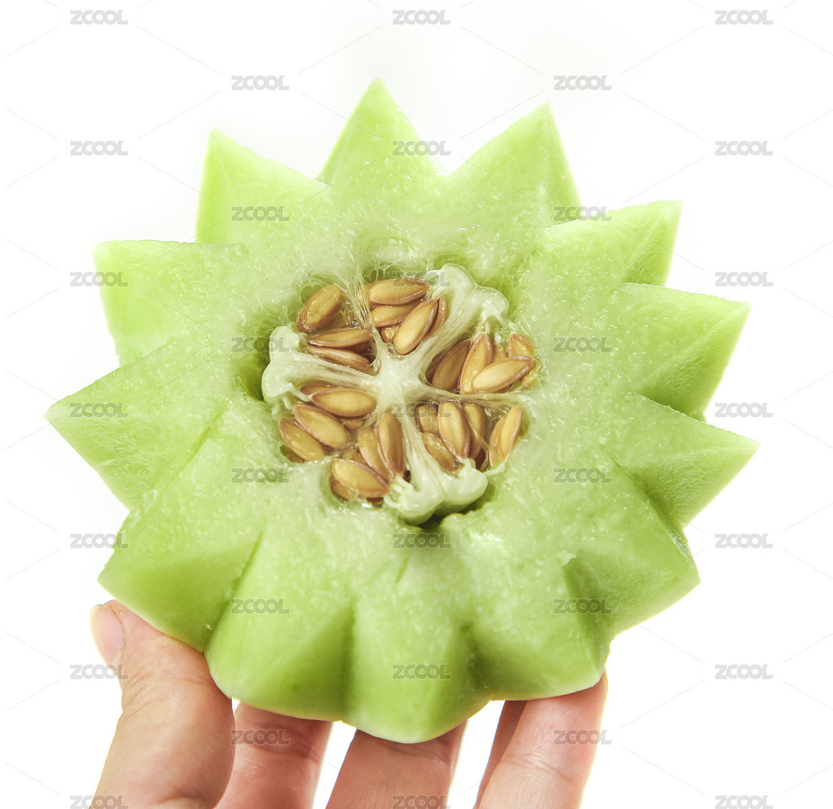 手上拿著一塊切面的玉菇瓜（主預(yù)覽-5776919） - 未分類 - 站酷設(shè)計師PAOPAO攝影工作室原創(chuàng)素材 - 站酷ZCOOL