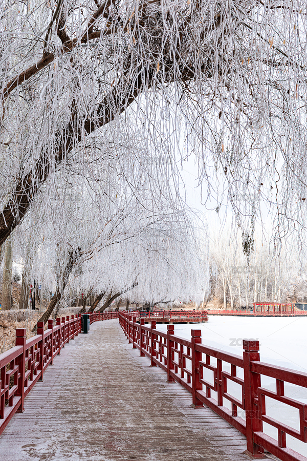 中國甘肅酒泉公園湖岸樹林霧凇雪景（主預(yù)覽-5899950） - 未分類 - 站酷設(shè)計(jì)師酒泉好攝之徒原創(chuàng)素材 - 站酷ZCOOL