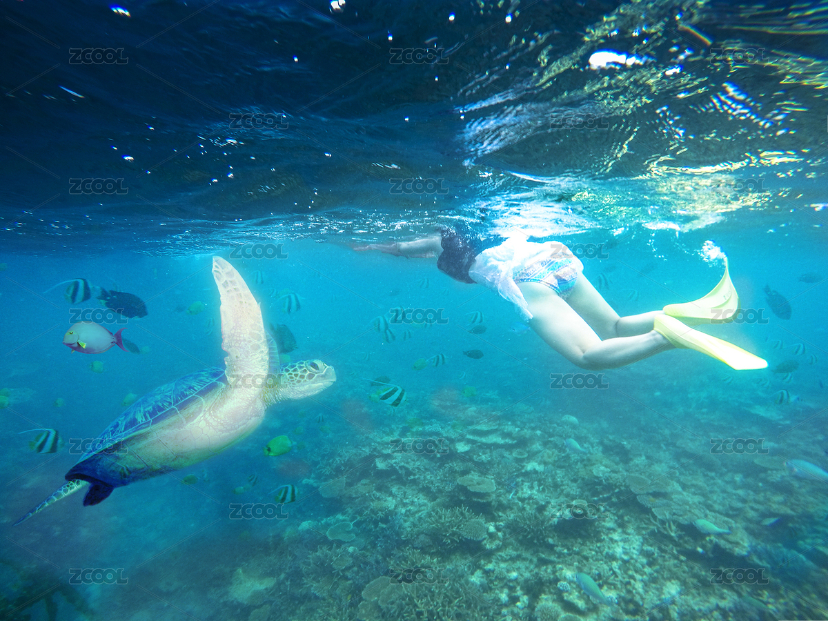 浮潛與海洋動物（主預覽-3416664） - 未分類 - 站酷設計師leeseasun原創(chuàng)素材 - 站酷ZCOOL